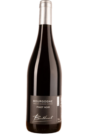 Bourgogne Pinot Noir 2024