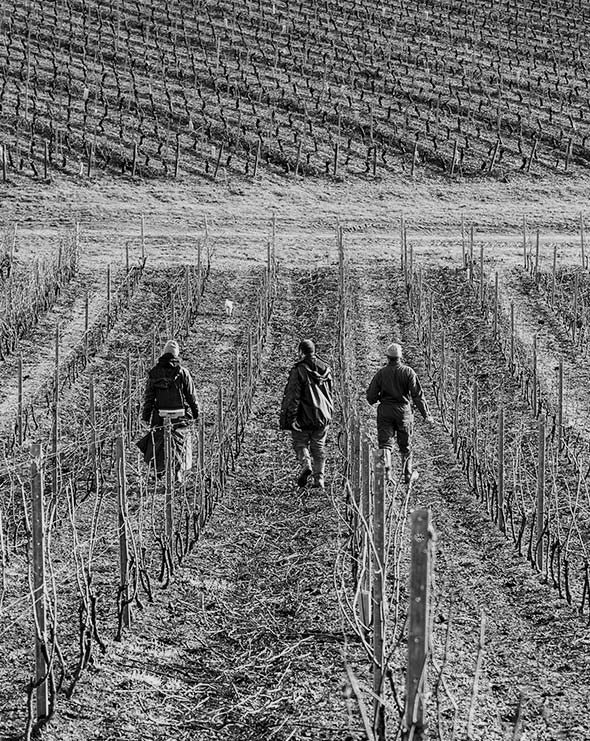 Domaine Berthenet, 4 siècles d'histoire