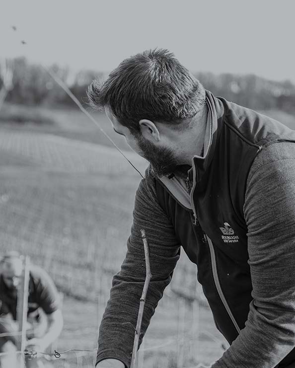 Domaine Berthenet, grands vins de Bourgogne