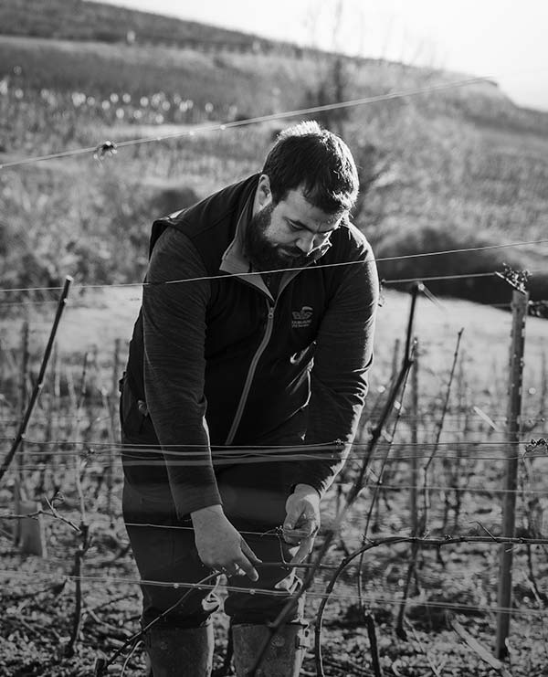 Domaine Berthenet, Grands Vins de Bourgogne à Montagny
