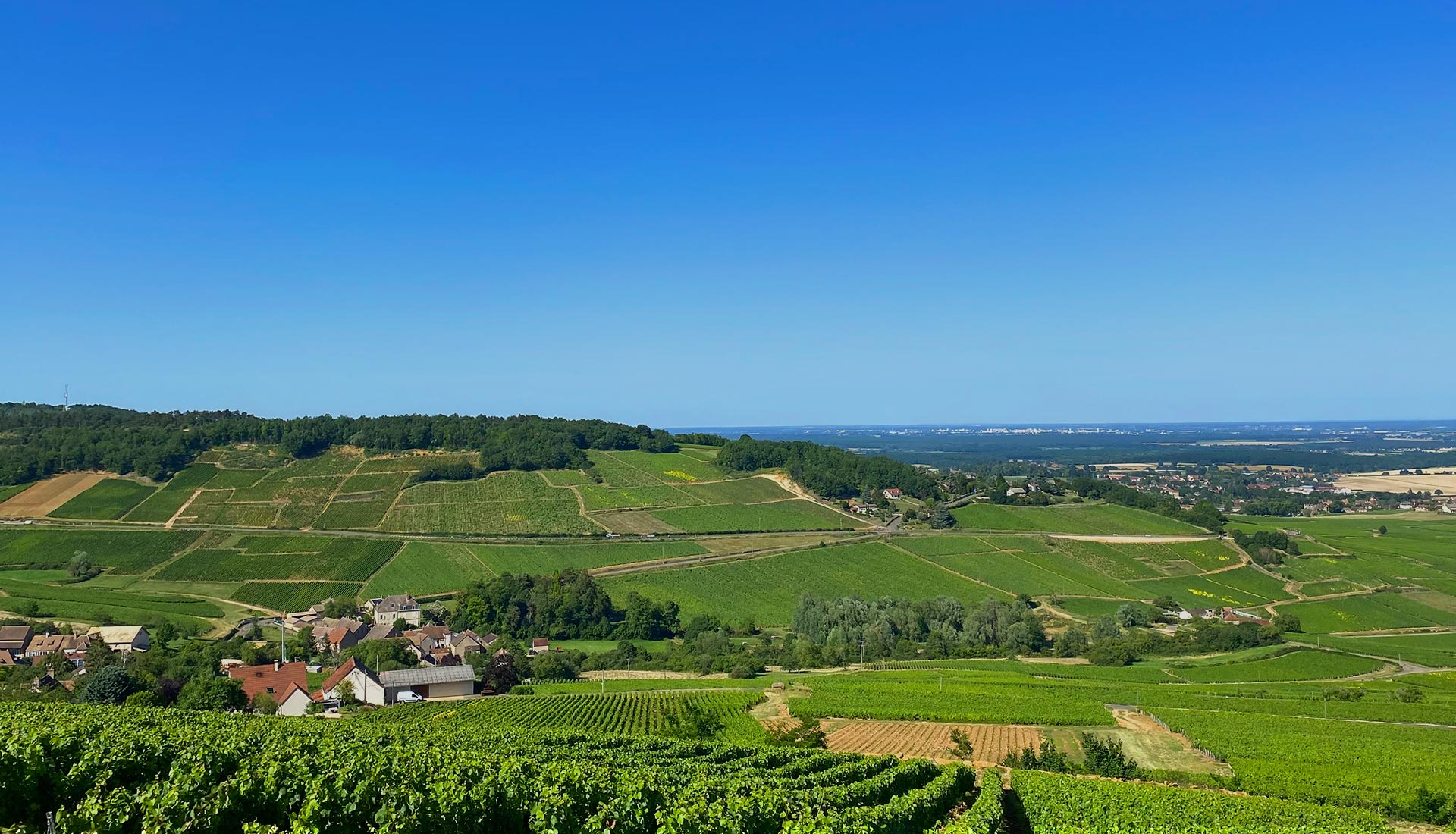 Découvrez les richesses du terroir de Montagny