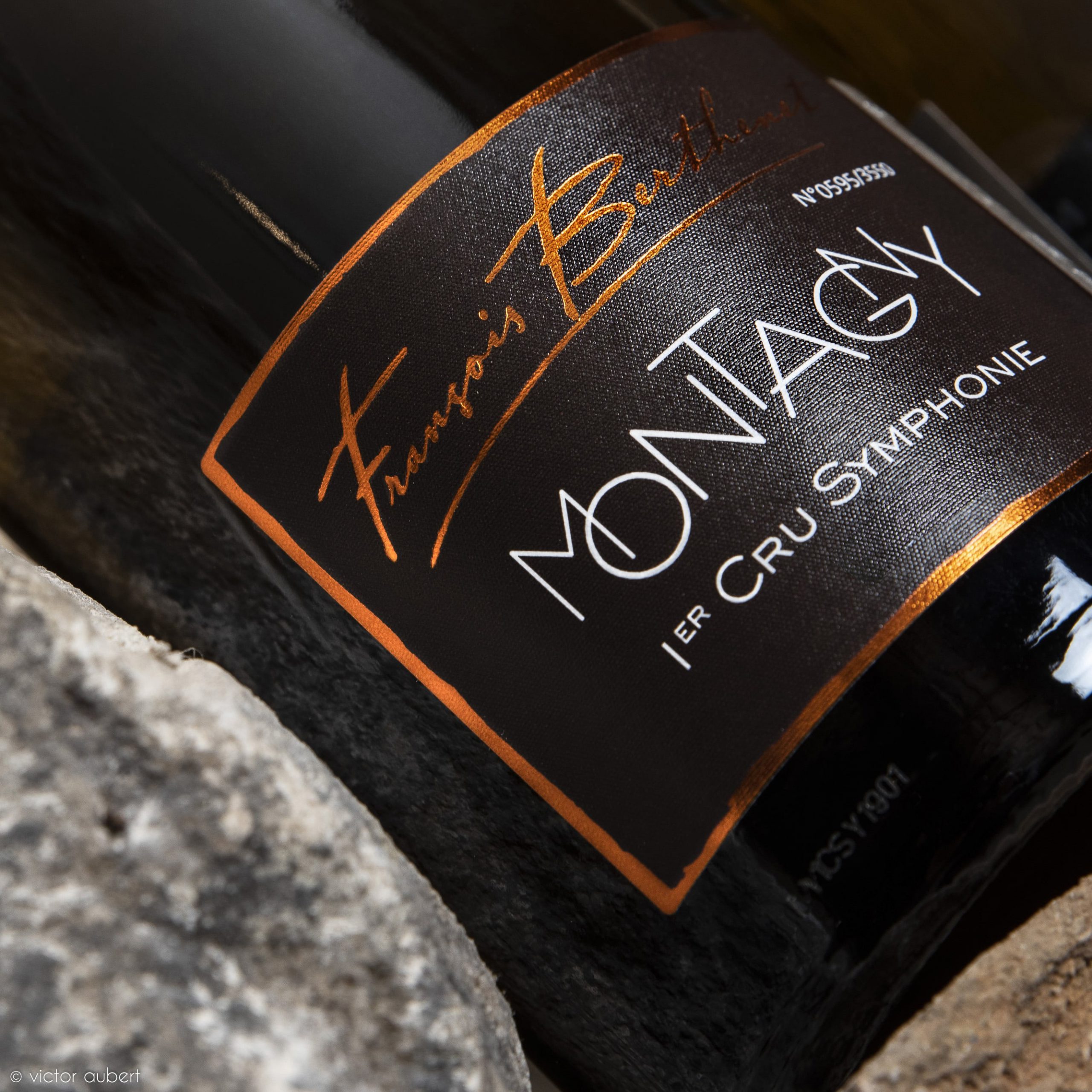 Montagny 1er cru, grands vins de Bourgogne