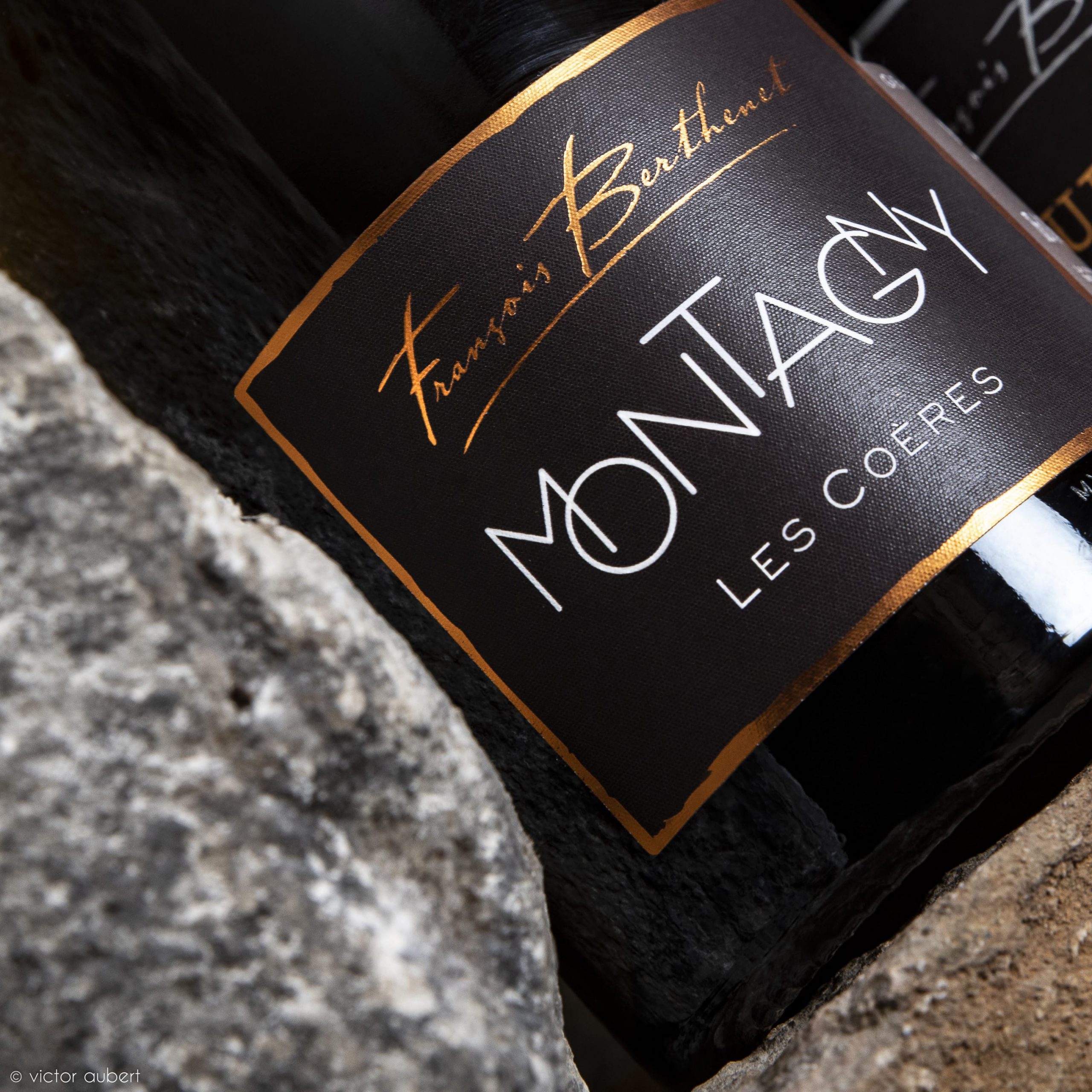 Les vins blancs du Domaine Berthenet